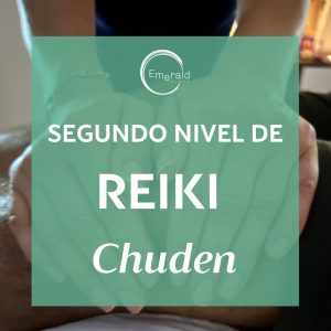 curso de reiki, reiki, energía sanadora, segundo nivel reiki, segundo nivel, terapeuta holística, formación holística, cursos holísticos, meditaciones, sanación