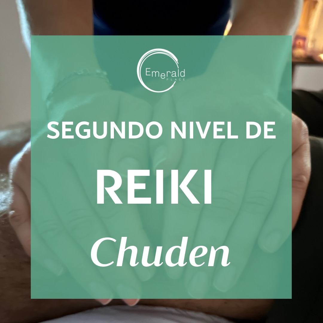 curso de reiki, reiki, energía sanadora, segundo nivel reiki, segundo nivel, terapeuta holística, formación holística, cursos holísticos, meditaciones, sanación