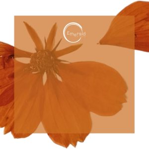 Participants al taller “La teva vàlua, i tu, quant vals?” a Emerald Place Mont-roig del Camp