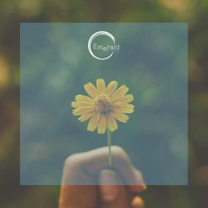 Nos sumergiremos en la búsqueda y comprensión de nuestro propósito vital, conectándonos con lo que realmente nos mueve.