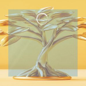 Aprenderemos a alinear nuestras energías con la abundancia, atrayendo prosperidad a todos los aspectos de nuestra vida.