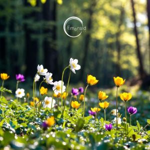 celebración ostara, equinoccio primavera. Retiro de bienestar y crecimiento ofrecido por Emerald Place, M Roca Guerri